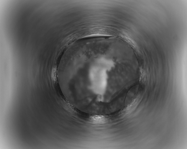 X0000096490189200801241512