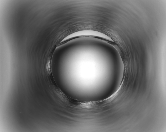 X0000096490190200801241512