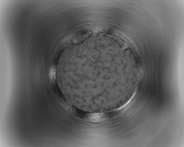 X0000096490191200801241512