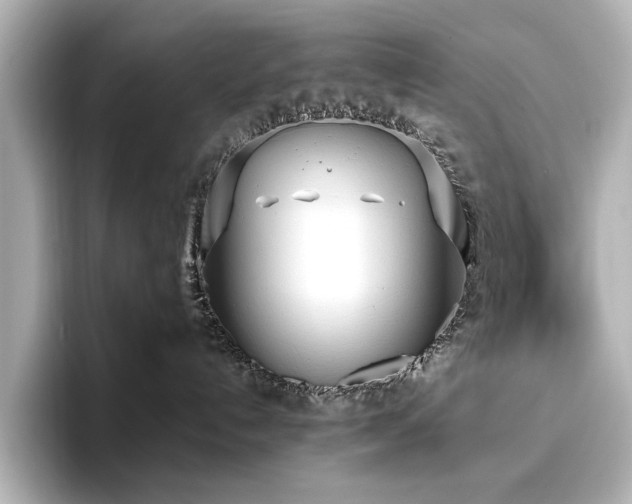 X0000096490192200801241512