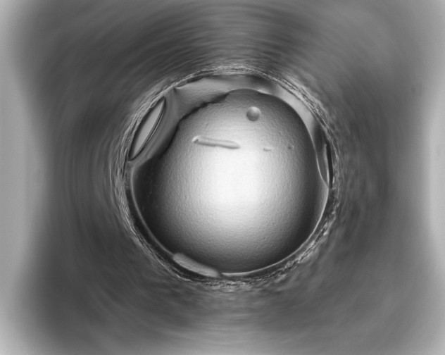 X0000096490193200801241512