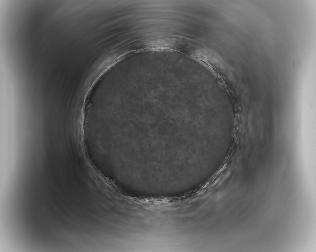 X0000096490194200801241512