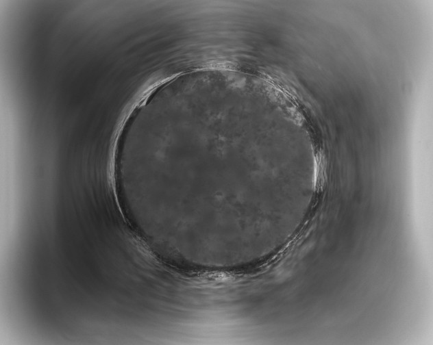 X0000096490195200801241512