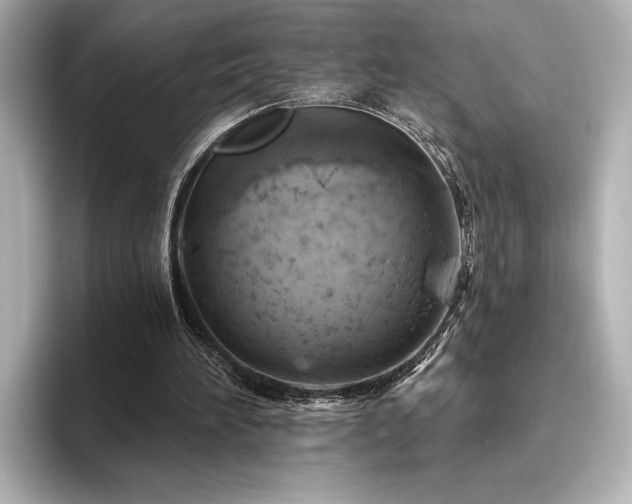 X0000096490196200801241512