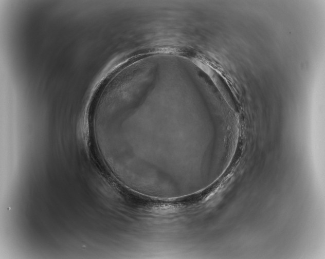 X0000096490198200801241512