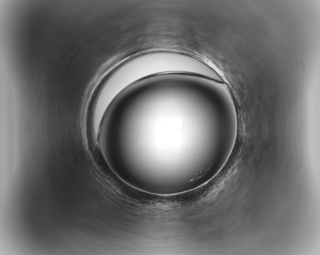 X0000096490199200801241512