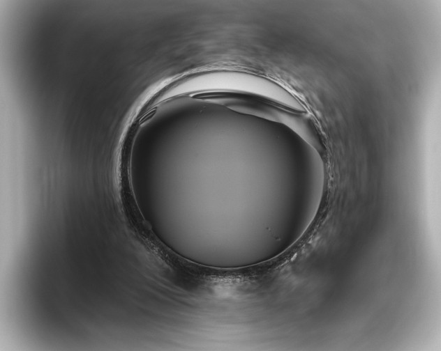 X0000096490200200801241512