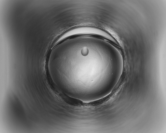 X0000096490201200801241512