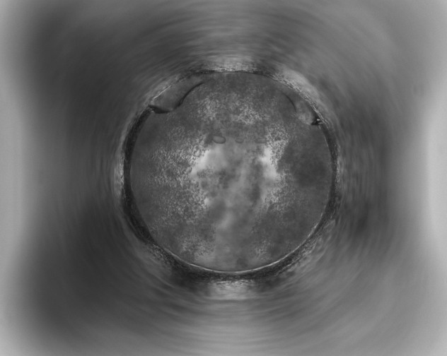 X0000096490202200801241512