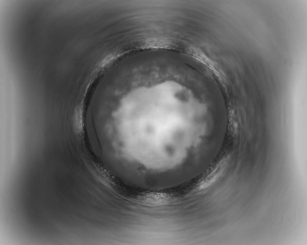 X0000096490203200801241512