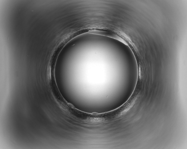 X0000096490205200801241512