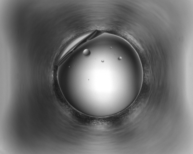 X0000096490207200801241512