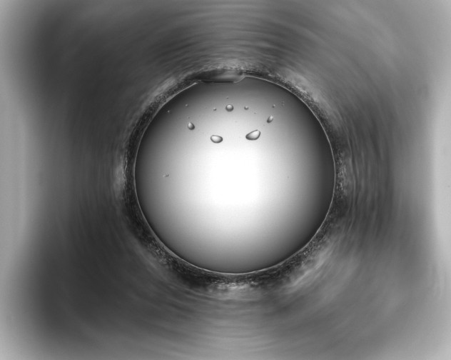 X0000096490208200801241512