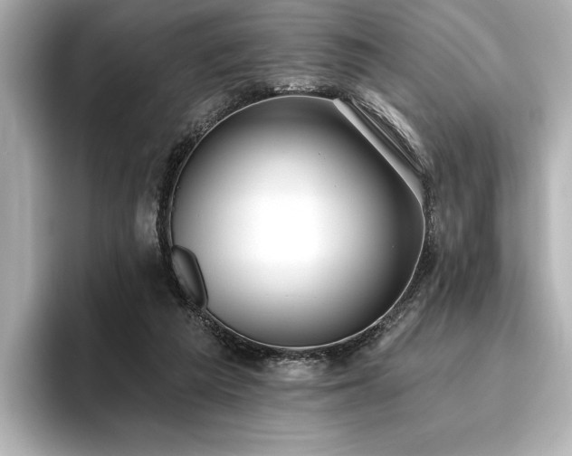 X0000096490209200801241511