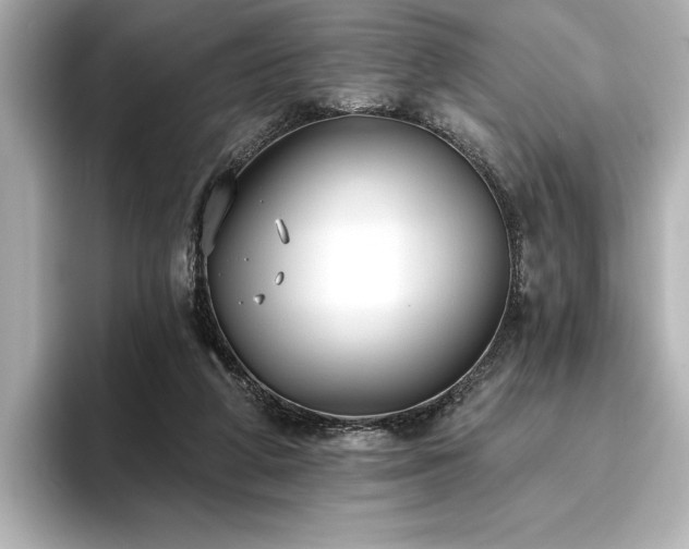 X0000096490210200801241511