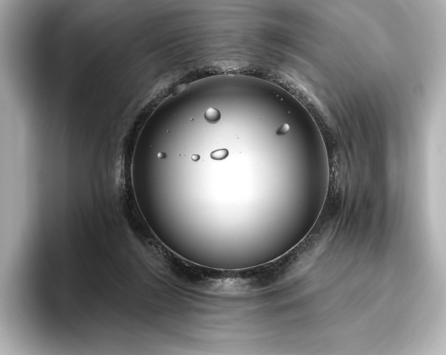 X0000096490212200801241511