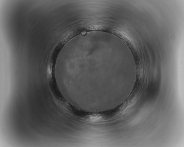 X0000096490214200801241511