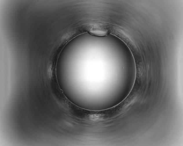 X0000096490216200801241511