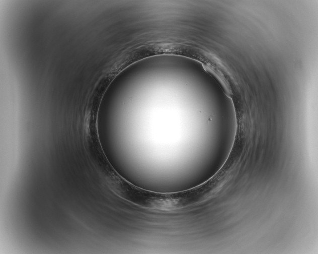 X0000096490217200801241511