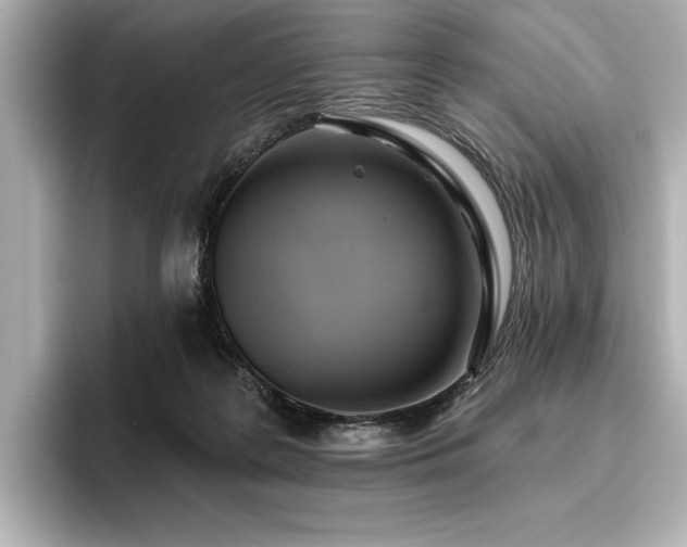 X0000096490219200801241511