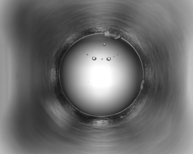 X0000096490220200801241511