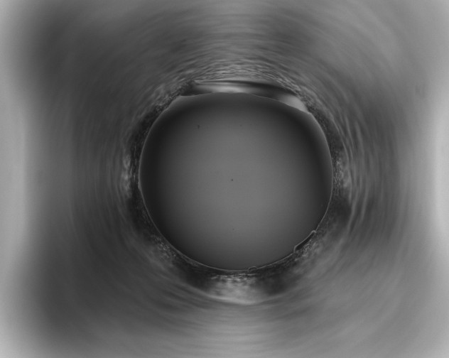 X0000096490223200801241511