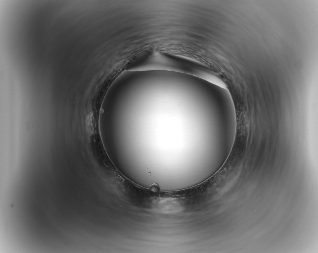 X0000096490224200801241511