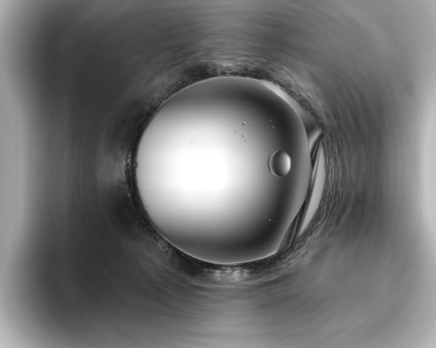 X0000096490225200801241511