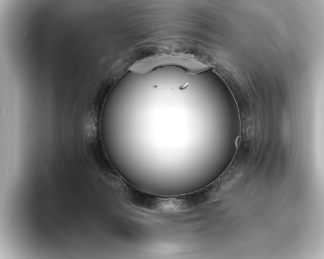 X0000096490226200801241511