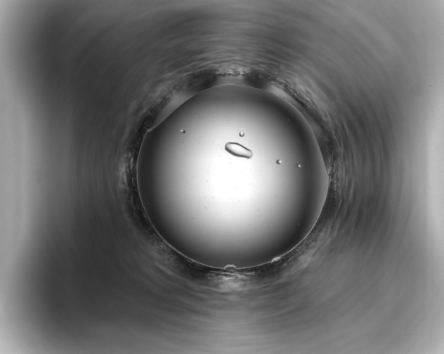 X0000096490229200801241511