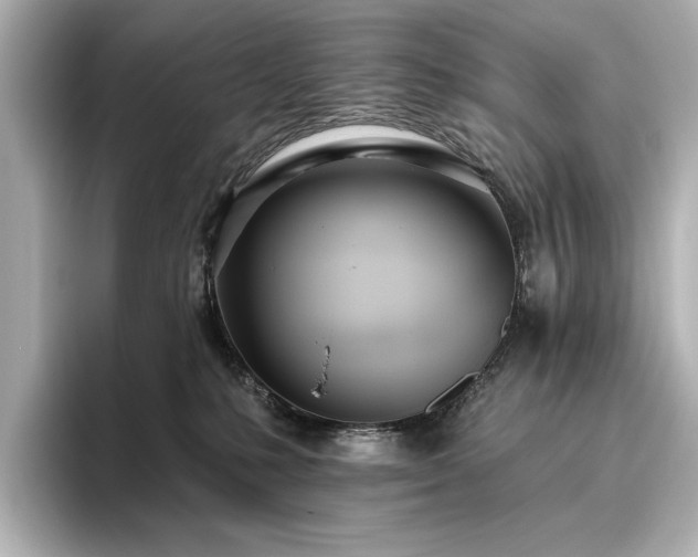 X0000096490231200801241511