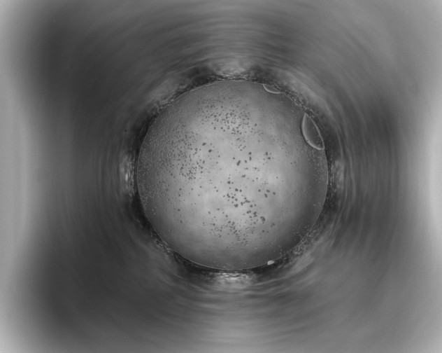 X0000096490234200801241511