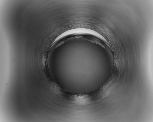 X0000096490235200801241511