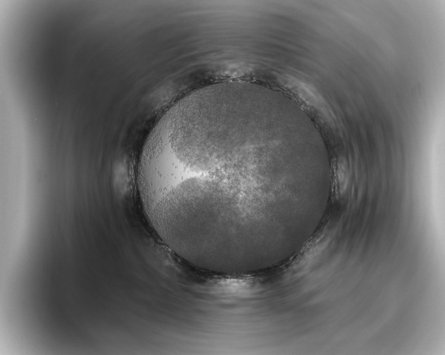 X0000096490236200801241511