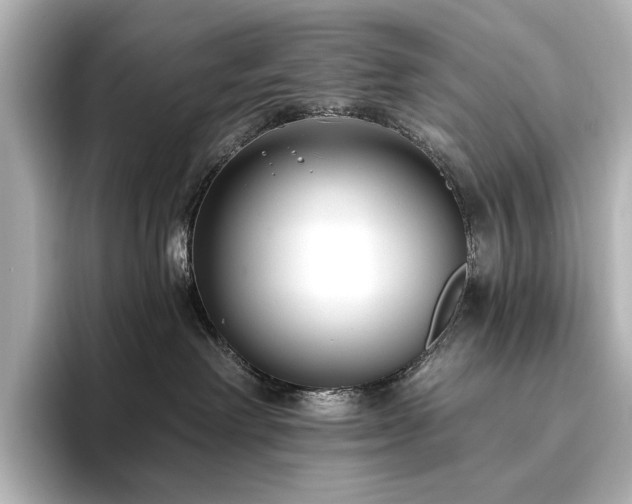 X0000096490238200801241511