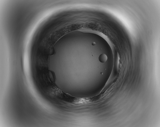 X0000096490239200801241511