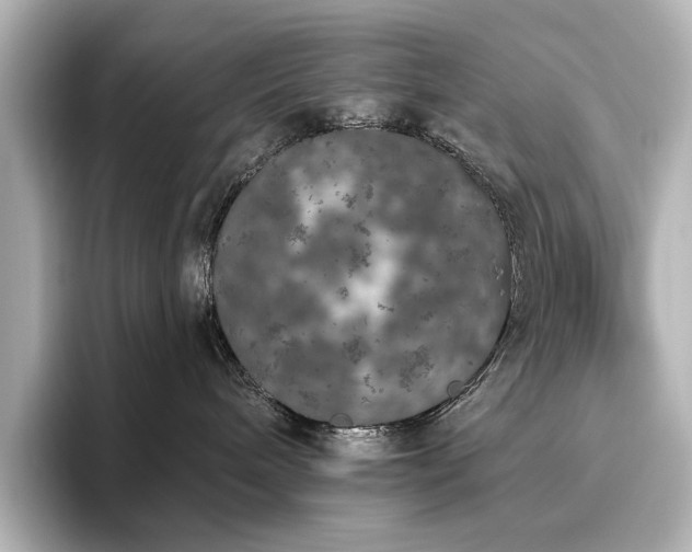 X0000096490240200801241511