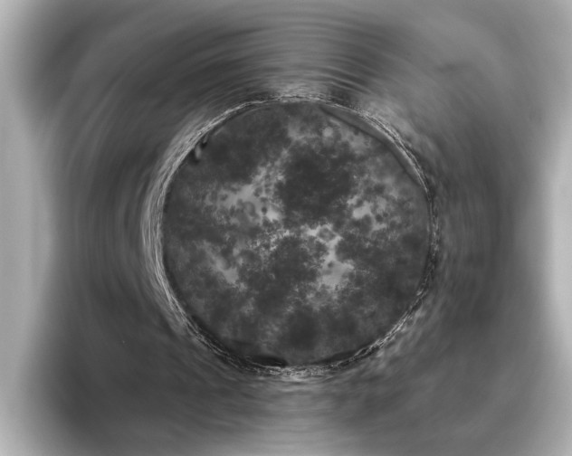 X0000096490241200801241510