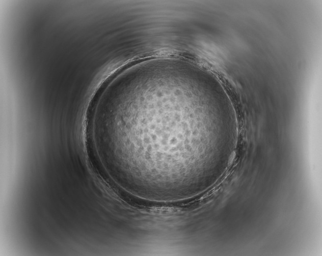 X0000096490242200801241510