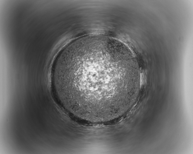 X0000096490243200801241510