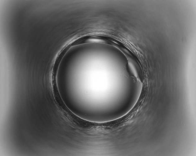 X0000096490244200801241511