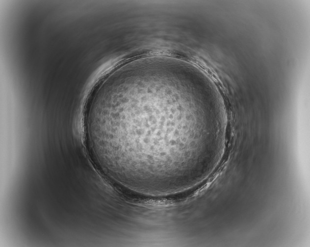 X0000096490245200801241511