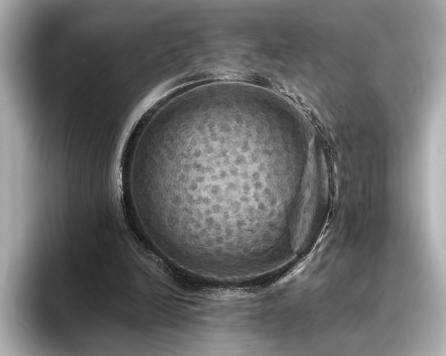 X0000096490246200801241511