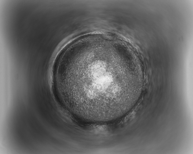 X0000096490247200801241511