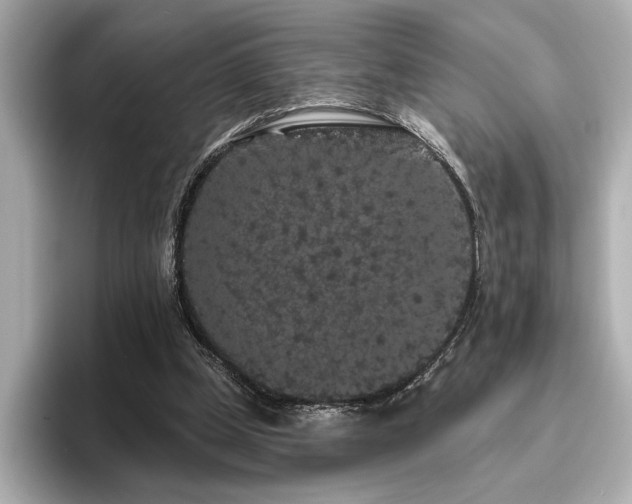 X0000096490249200801241511