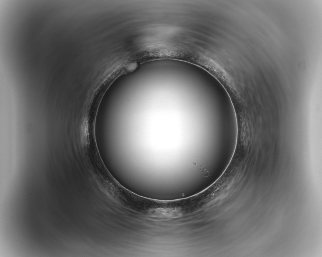 X0000096490251200801241511