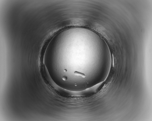 X0000096490252200801241511