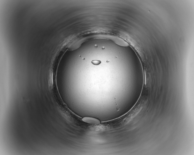 X0000096490253200801241511