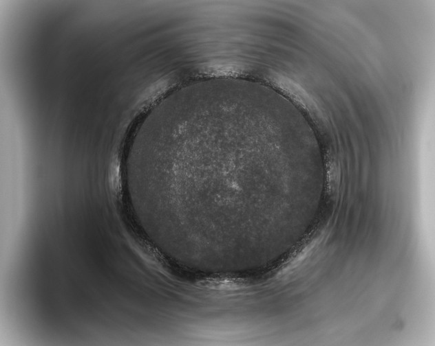 X0000096490254200801241511