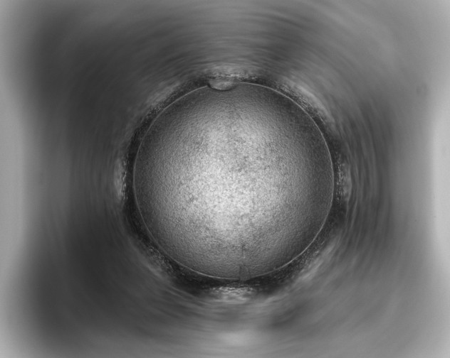 X0000096490255200801241511